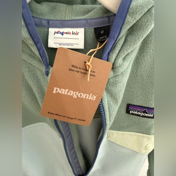 NWT 4T Patagonia Kids Two-Tone Sage & Mint Fleece Hoodie - Picture 4 of 4